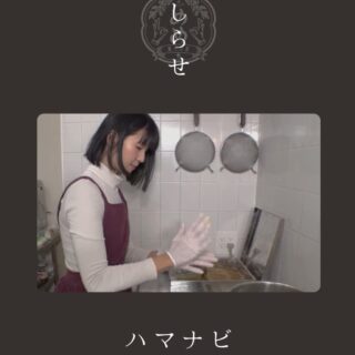 11月29日（土）テレビ神奈川「ハマナビ」