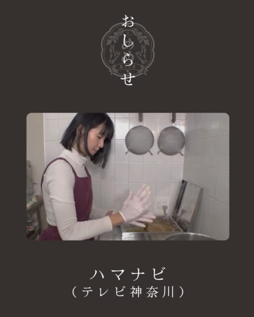 11月29日（土）テレビ神奈川「ハマナビ」